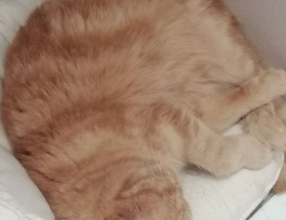 best recipe llblogfood