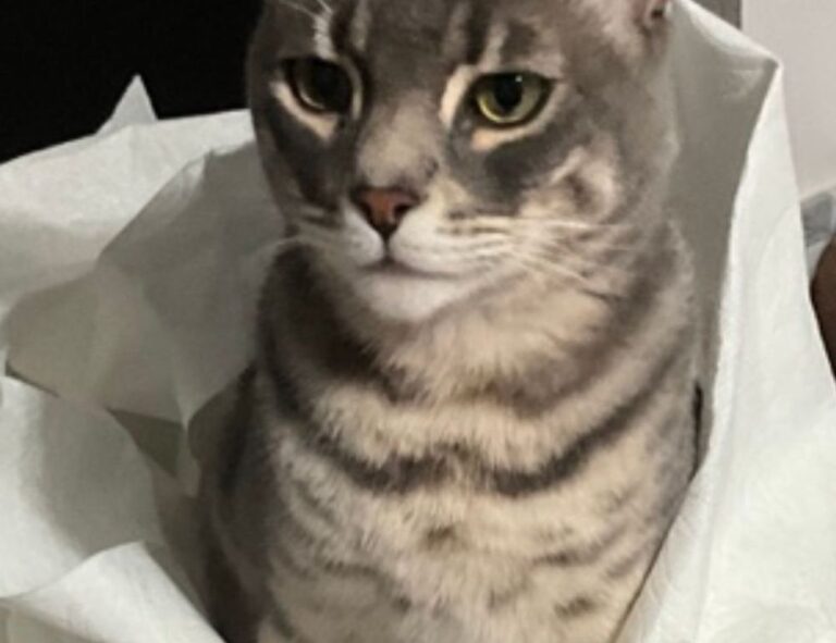 cilxarhu677 moisturizer product