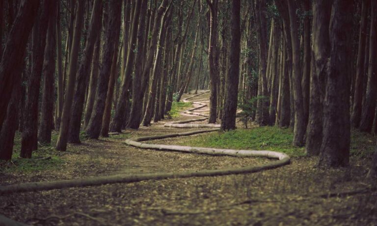 easy recipe llblogfood