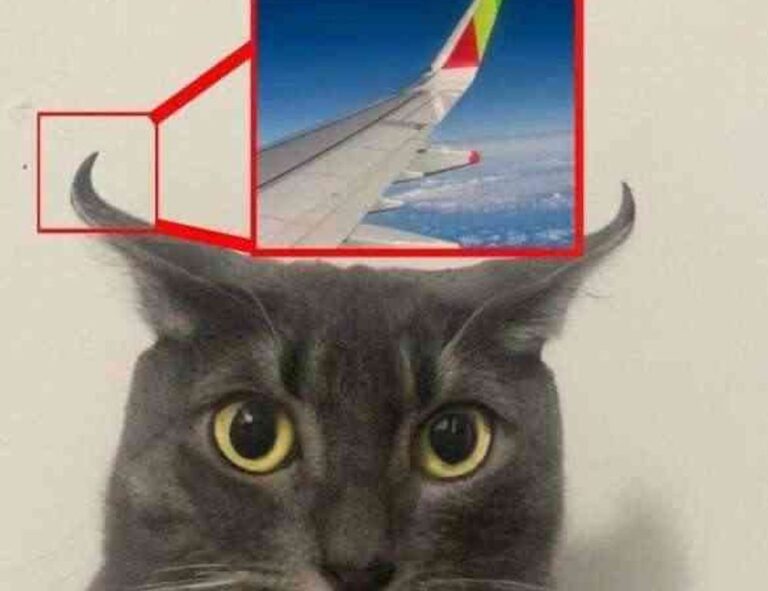 easy recipes llblogfood