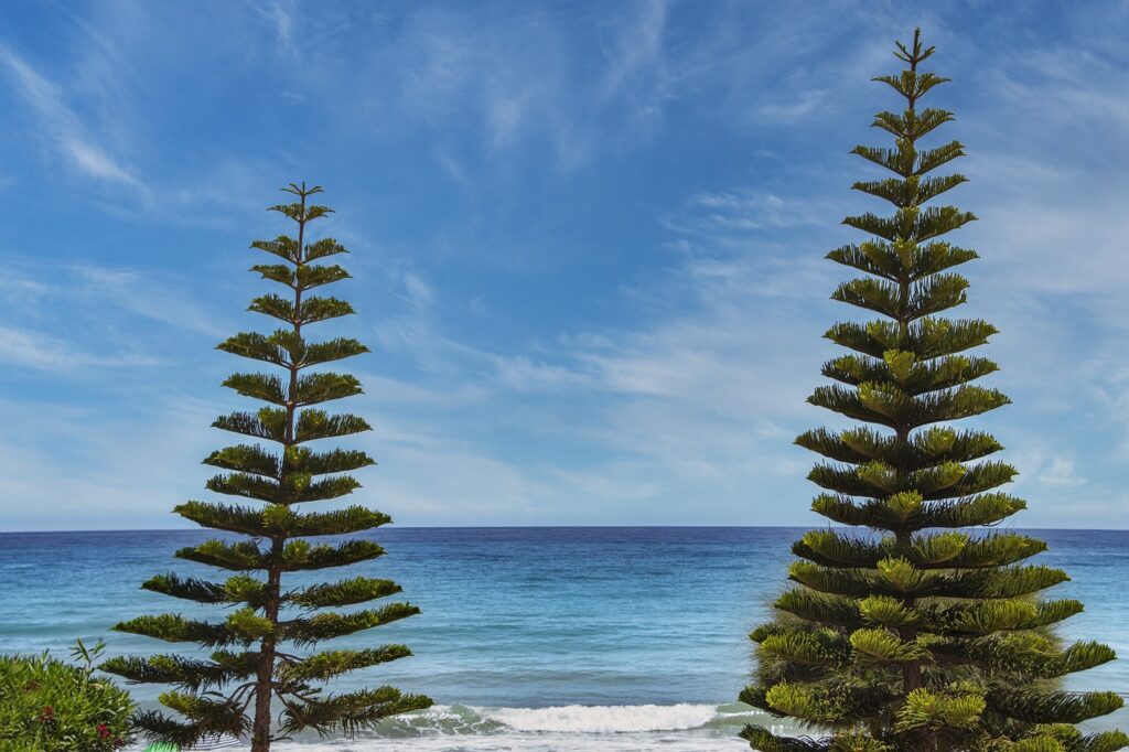 fast recipe llblogfood