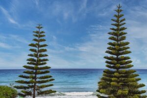 fast recipe llblogfood