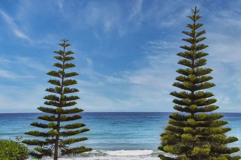 fast recipe llblogfood