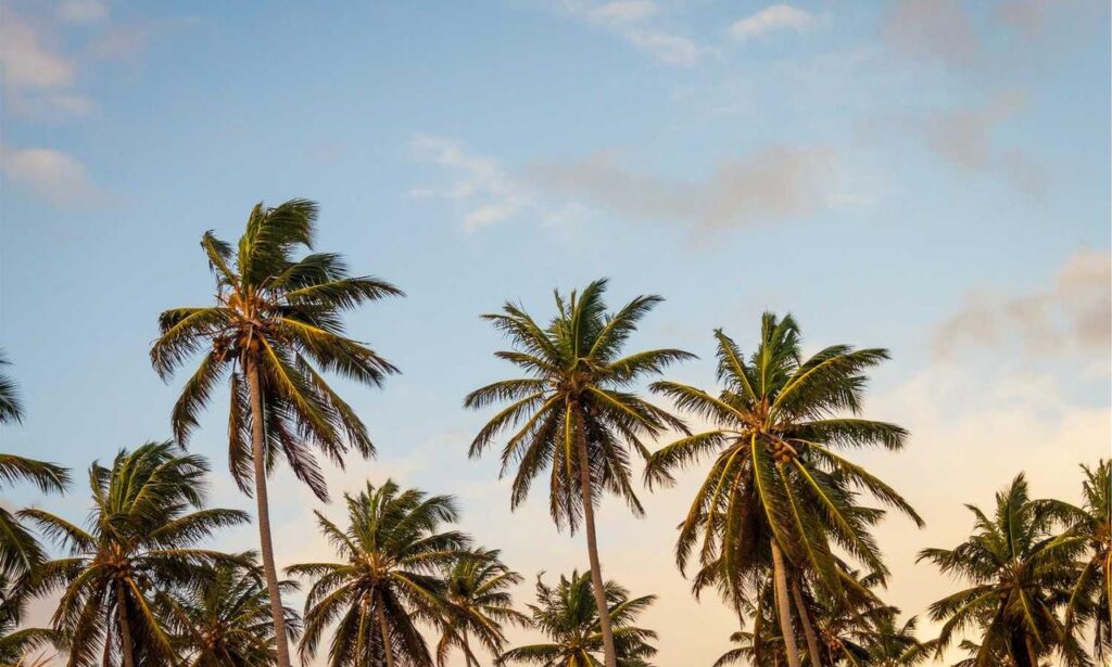 what is application in zillexit software