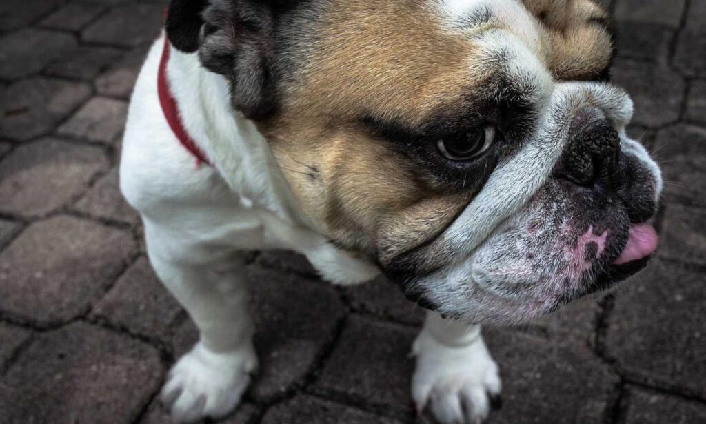 what is testing in zillexit software