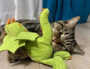 winobit3.4 software error