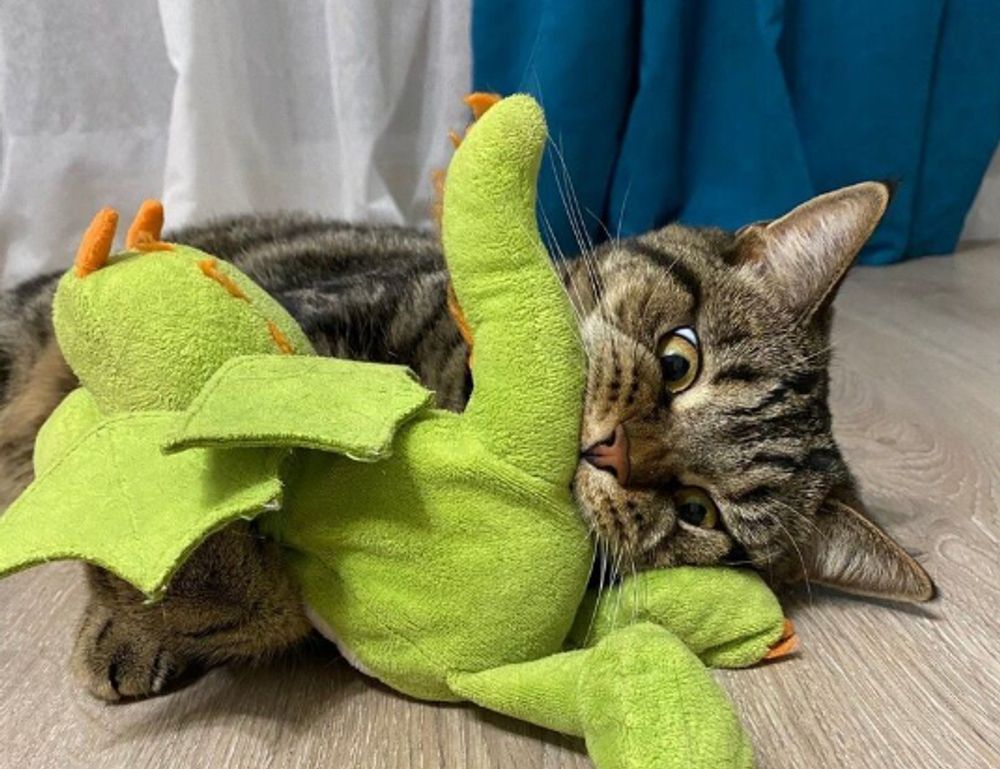 winobit3.4 software error