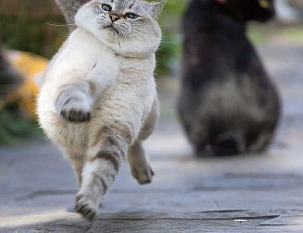 food trends fhthopefood