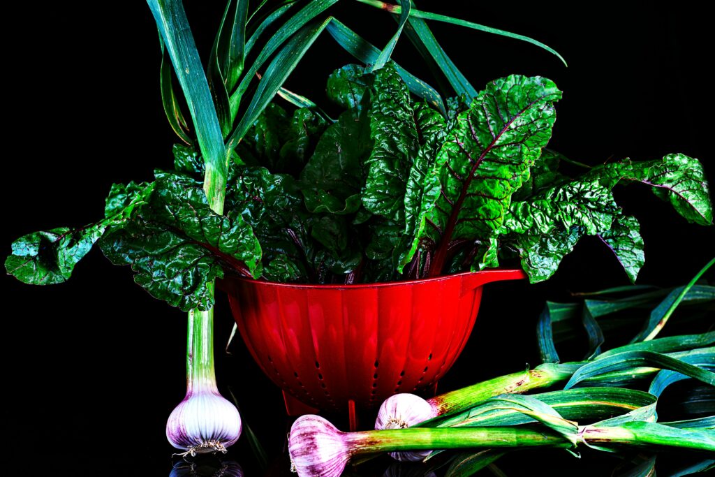 plant based diet benefits