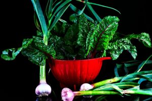 plant based diet benefits