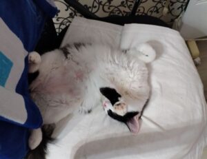 online food trends fhthopefood