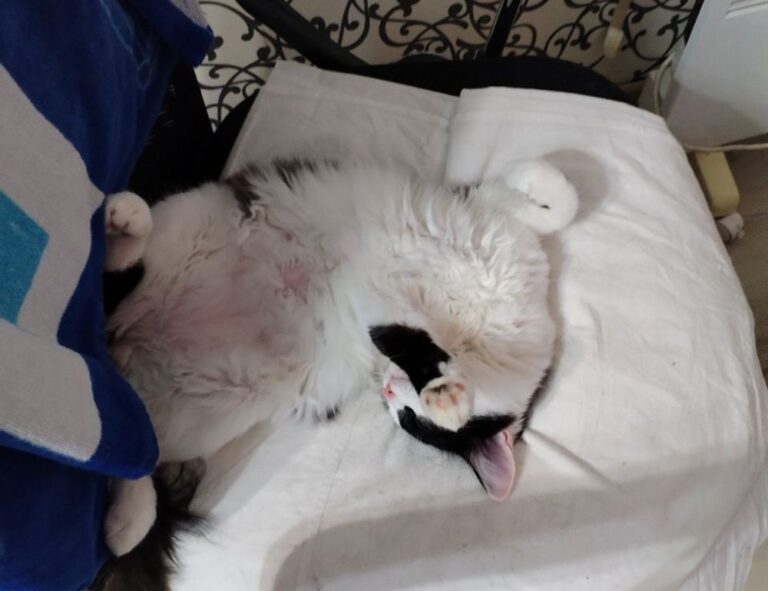 online food trends fhthopefood