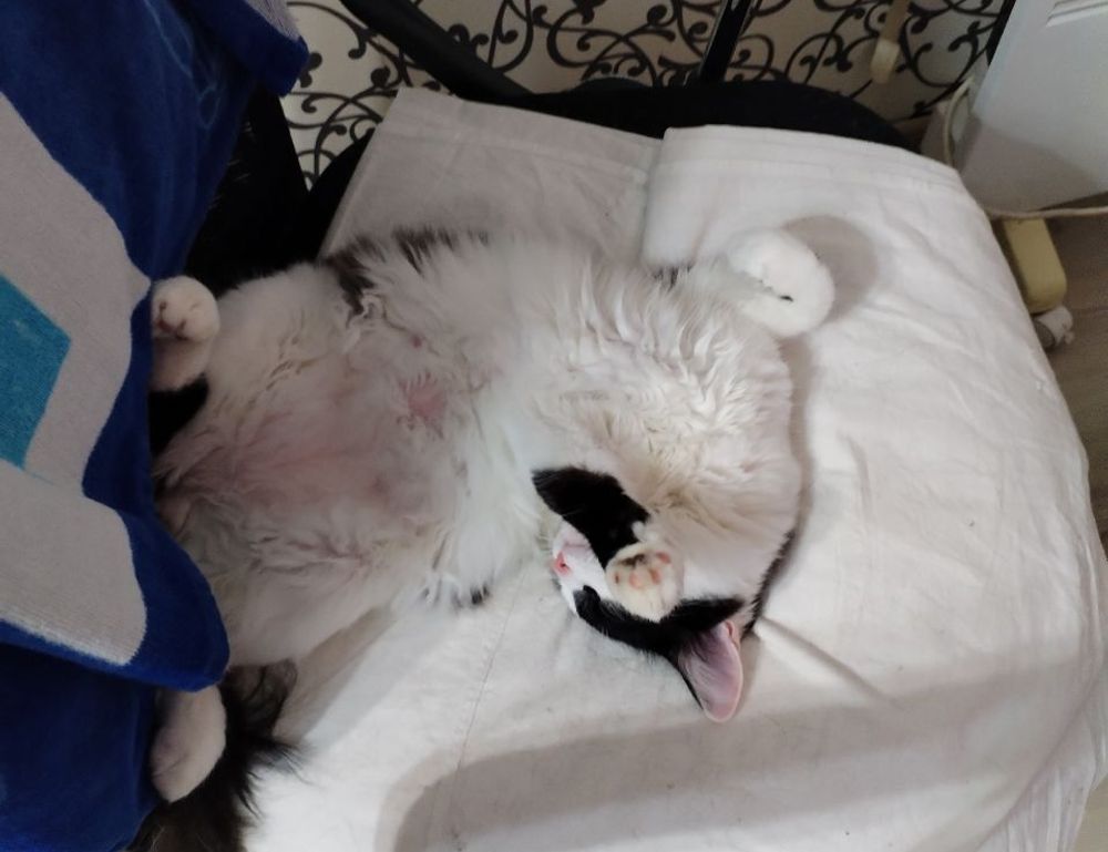 online food trends fhthopefood