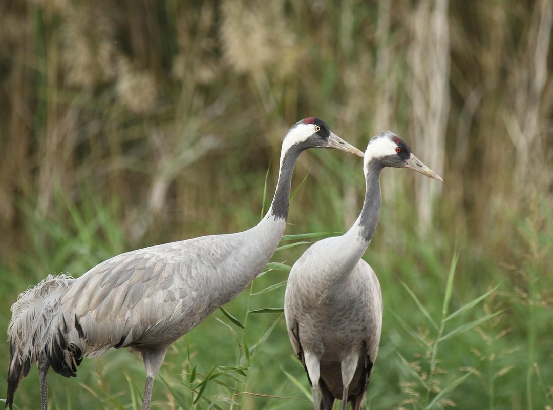 On Justalittlebite Jalbiteblog Food Trend