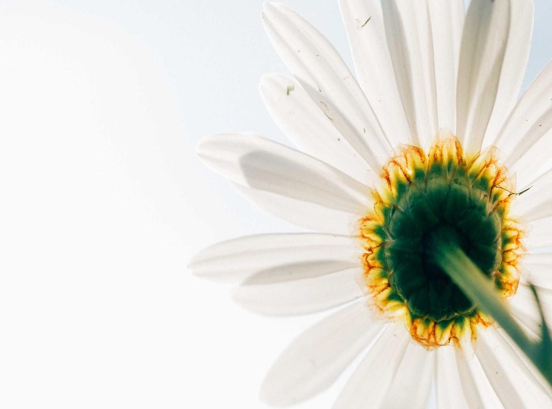 Where to Exchange Your Ringgit: A Comparison of Your Best Options