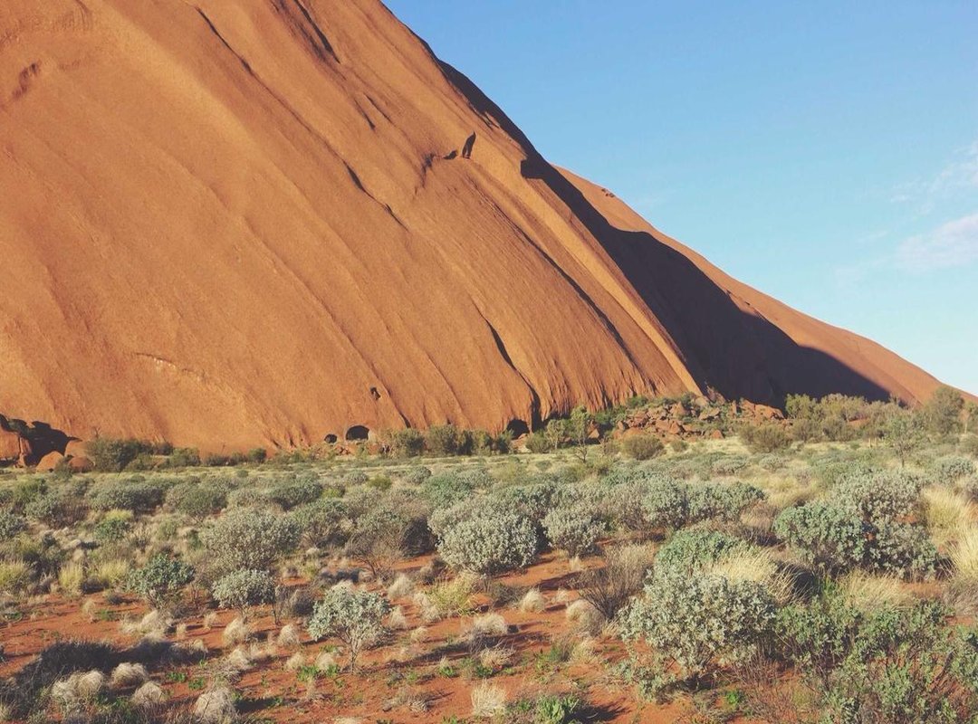 Beyond the Leads: Other Key Cast Members to Know