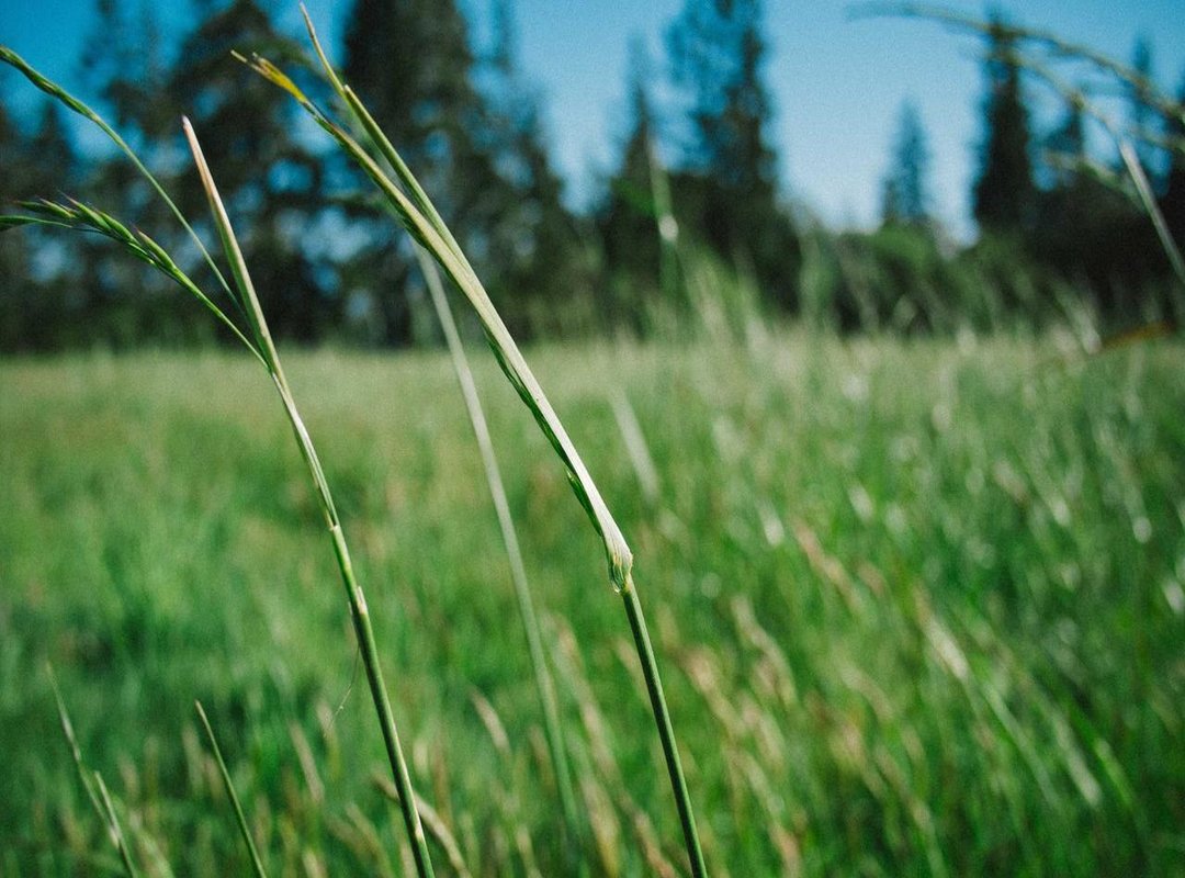 How to Apply Ignaony: A 4-Step Practical Guide