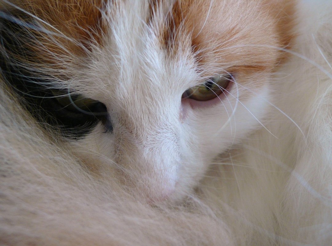 Liza Baez in the Media