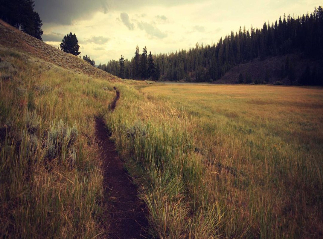 Beyond the App Store: Unique Sources for Your Next Background