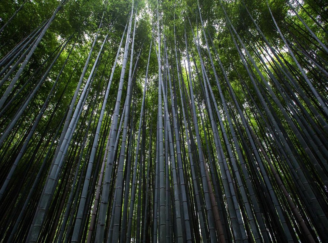 Real-World Examples: How These Deals Actually Look